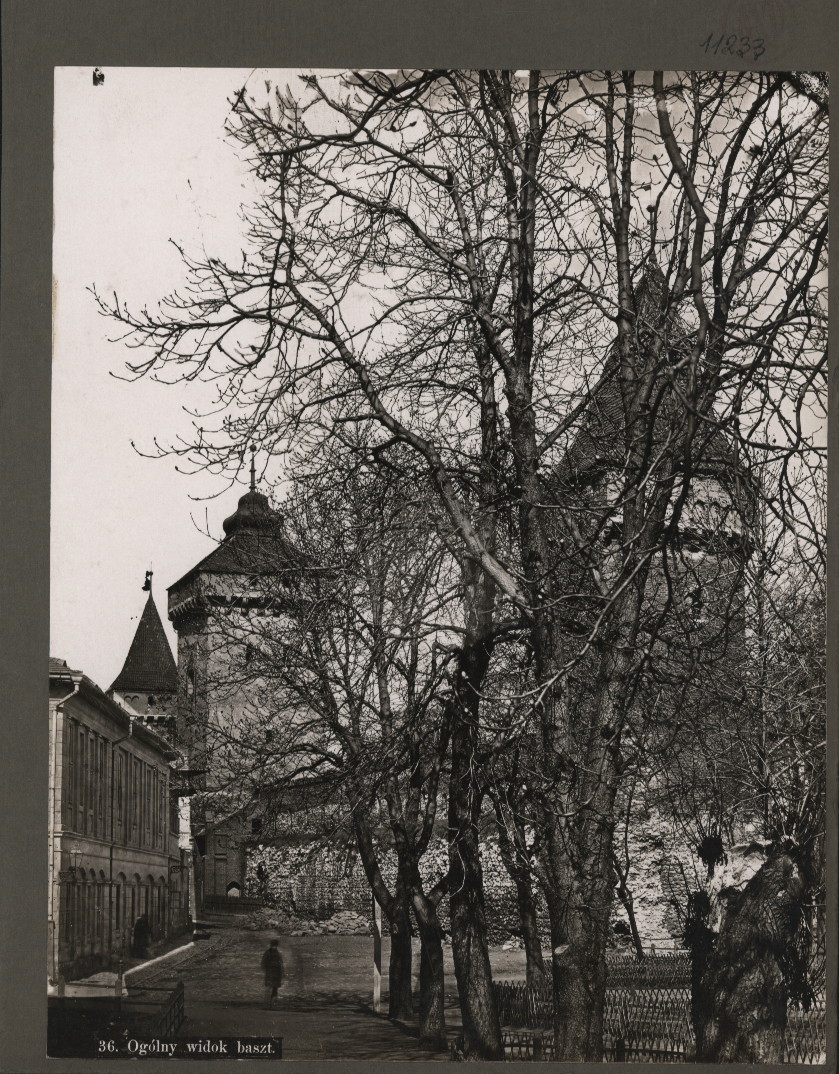 Thumbnail Image